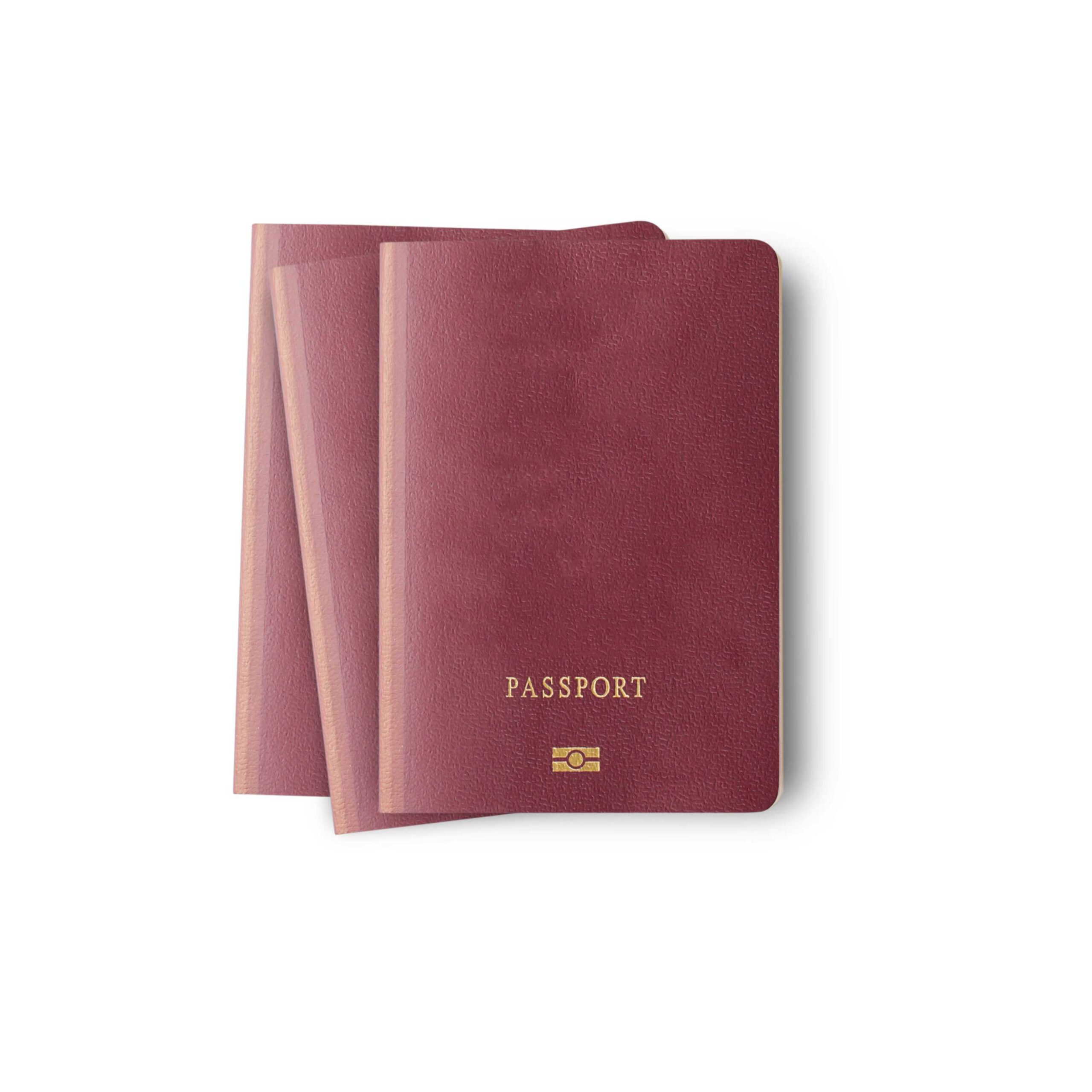 Leather Passport Holder